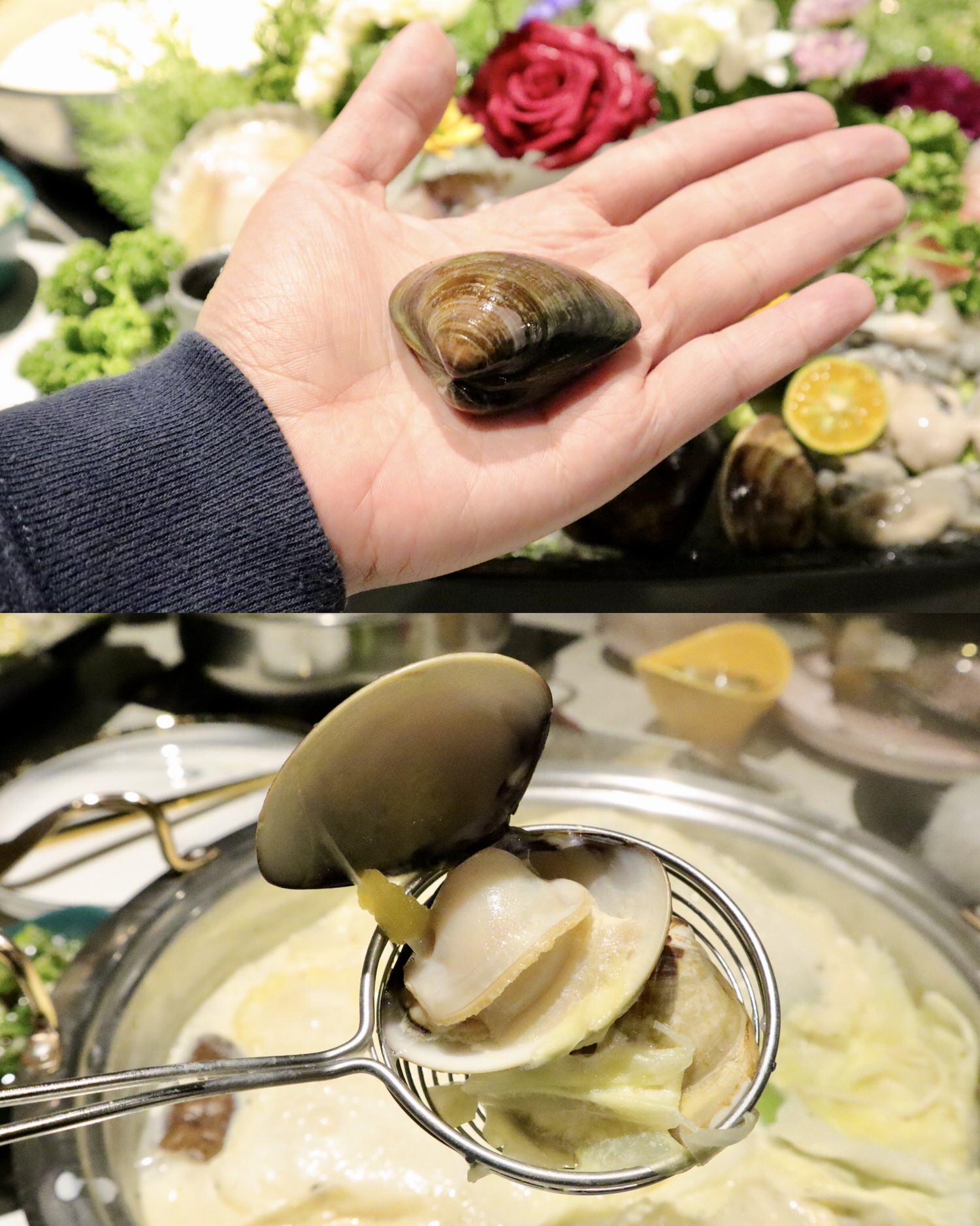 【新莊火鍋】新莊超美有質感的沐樂享鍋。目前吃到心中最愛的牛奶鍋!新鮮的海鮮和軟嫩的肉質,吃完讓人念念不忘 - 第12張圖