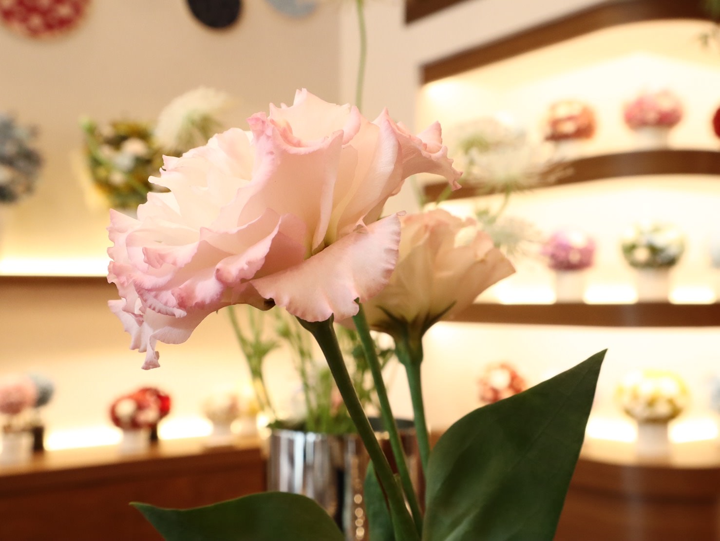 【台北大直花店】告白神助攻超美永生花.乾燥花都在「TJ.HANAYA」。 - 第5張圖