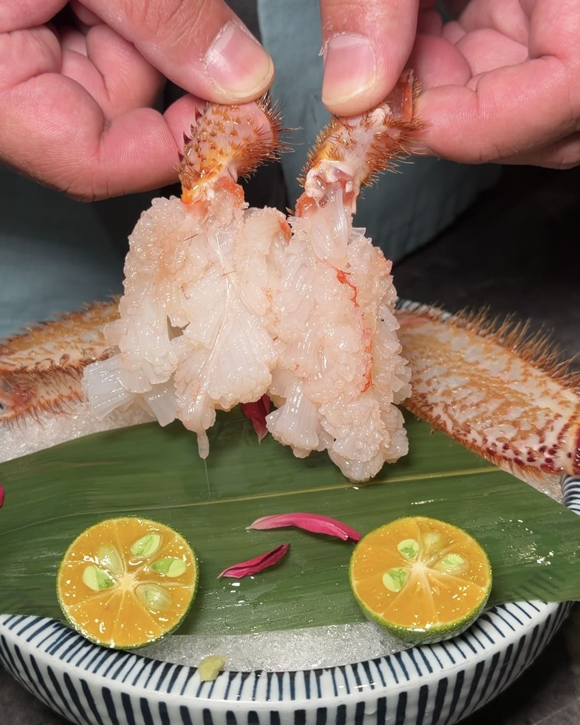 二本松涮涮屋｜台北高級火鍋推薦期間限定「毛蟹雙人套餐」太奢華！日本三大名蟹五吃＋A5和牛紐約客一次滿足
