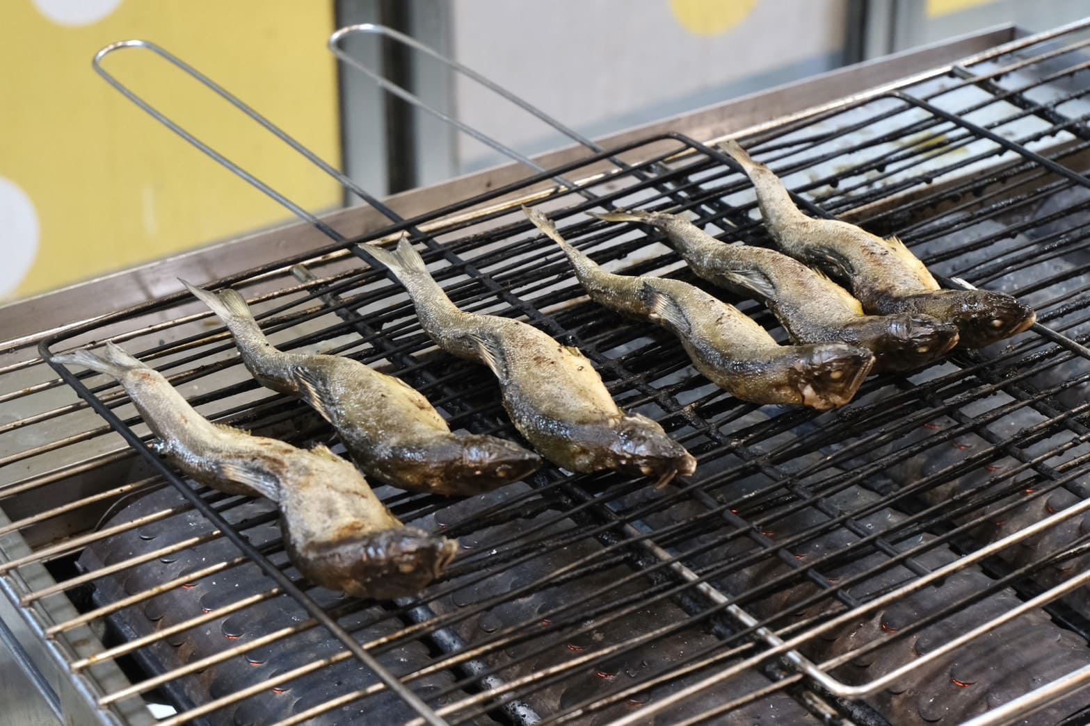 芙洛麗大飯店食譜自助百匯｜黑鮪魚現切秀限時登場！新竹Buffet必吃攻略。現沖牛肉湯、舒芙蕾無限供應，聚餐首選