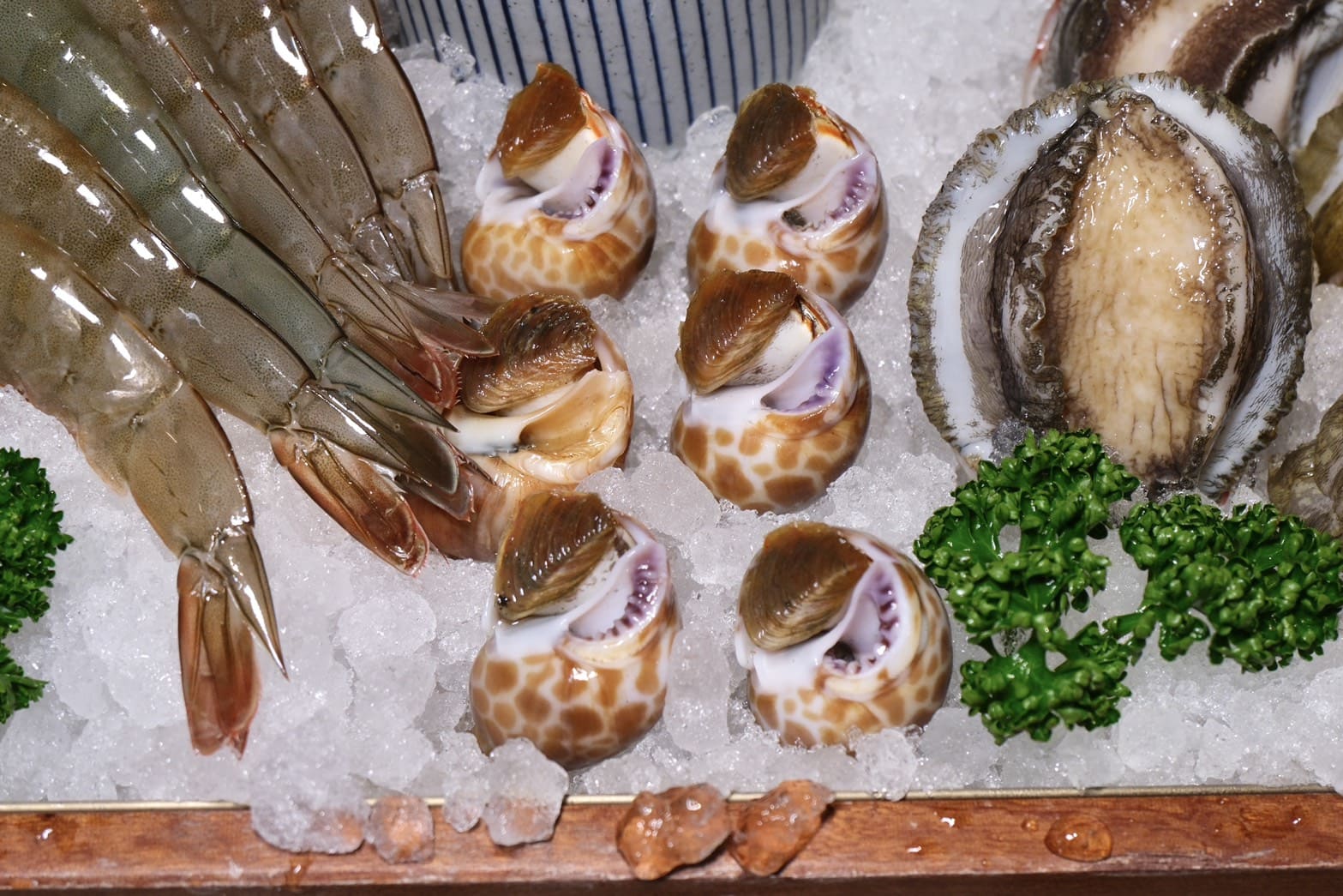 鮑福記鮑魚雞湯鍋｜華山附近新開幕超濃郁粵式雞湯火鍋！加入活體鮑魚現煮！台北火鍋推薦