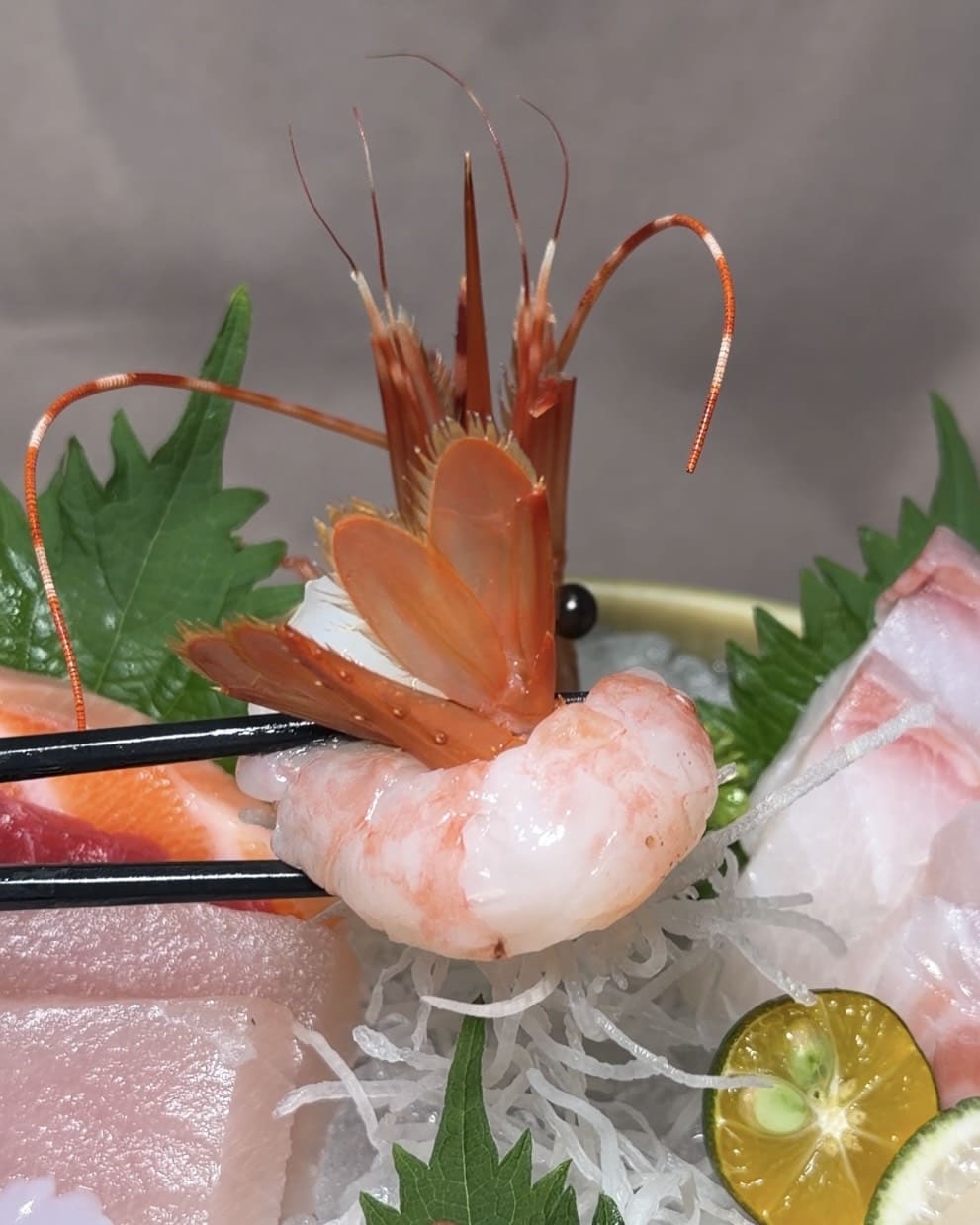 麓島居酒聚場｜桃園藝文特區Google 4.9星高評價。冠軍調酒、生魚片、烤串、火鍋一次滿足！桃園聚餐推薦